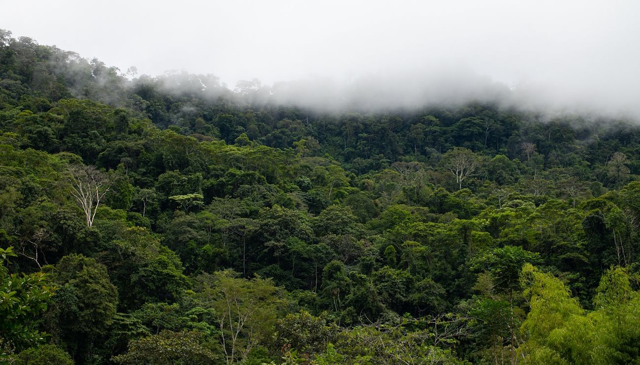 Read RÍOS VOLADORES QUE LLEVAN AGUA A TRES PAÍSES ANDINOS&nbsp; by PNUD en América Latina y el Caribe