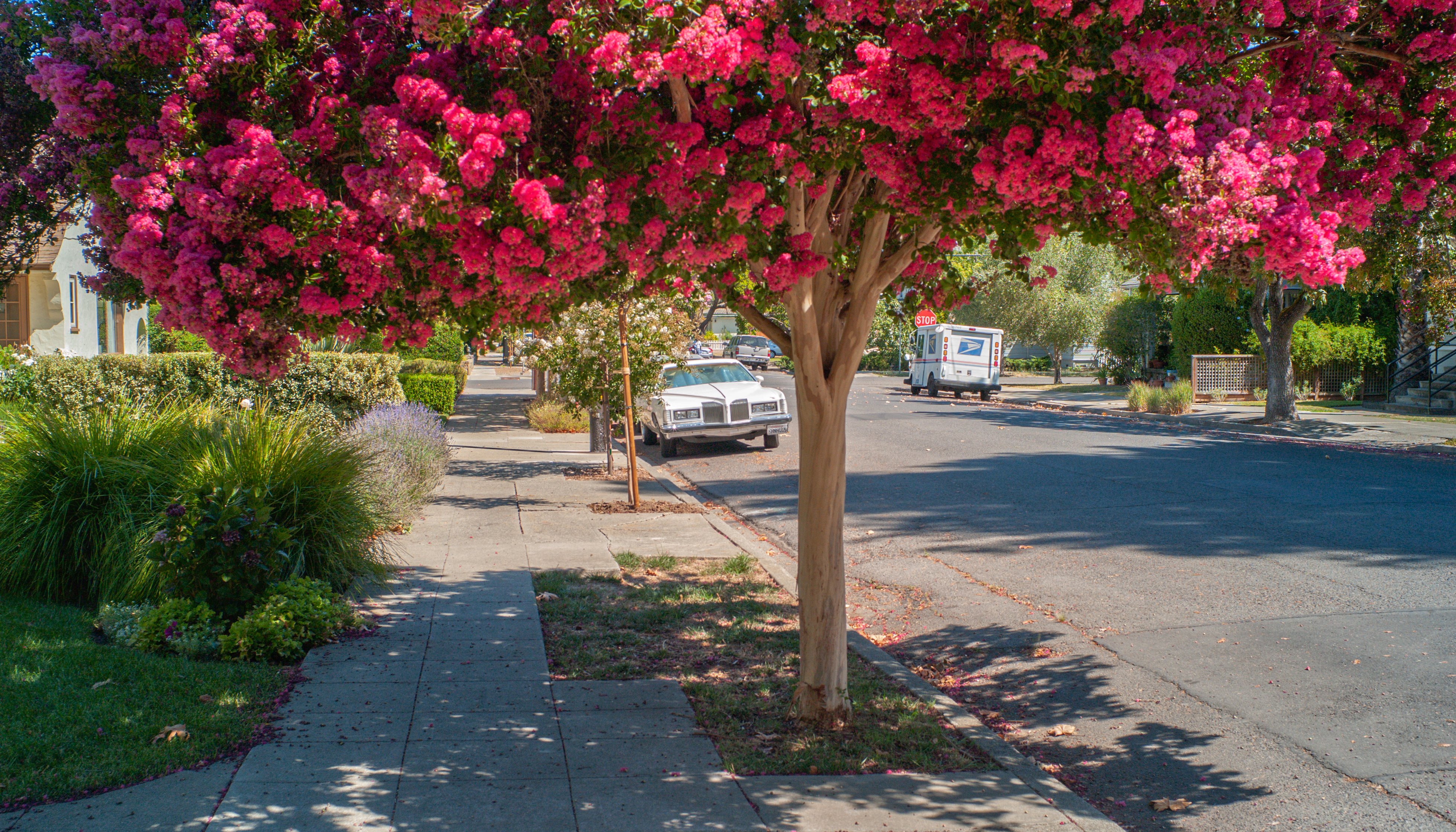 Read Napa w/ the Leica M8 by Marcus Lloyd