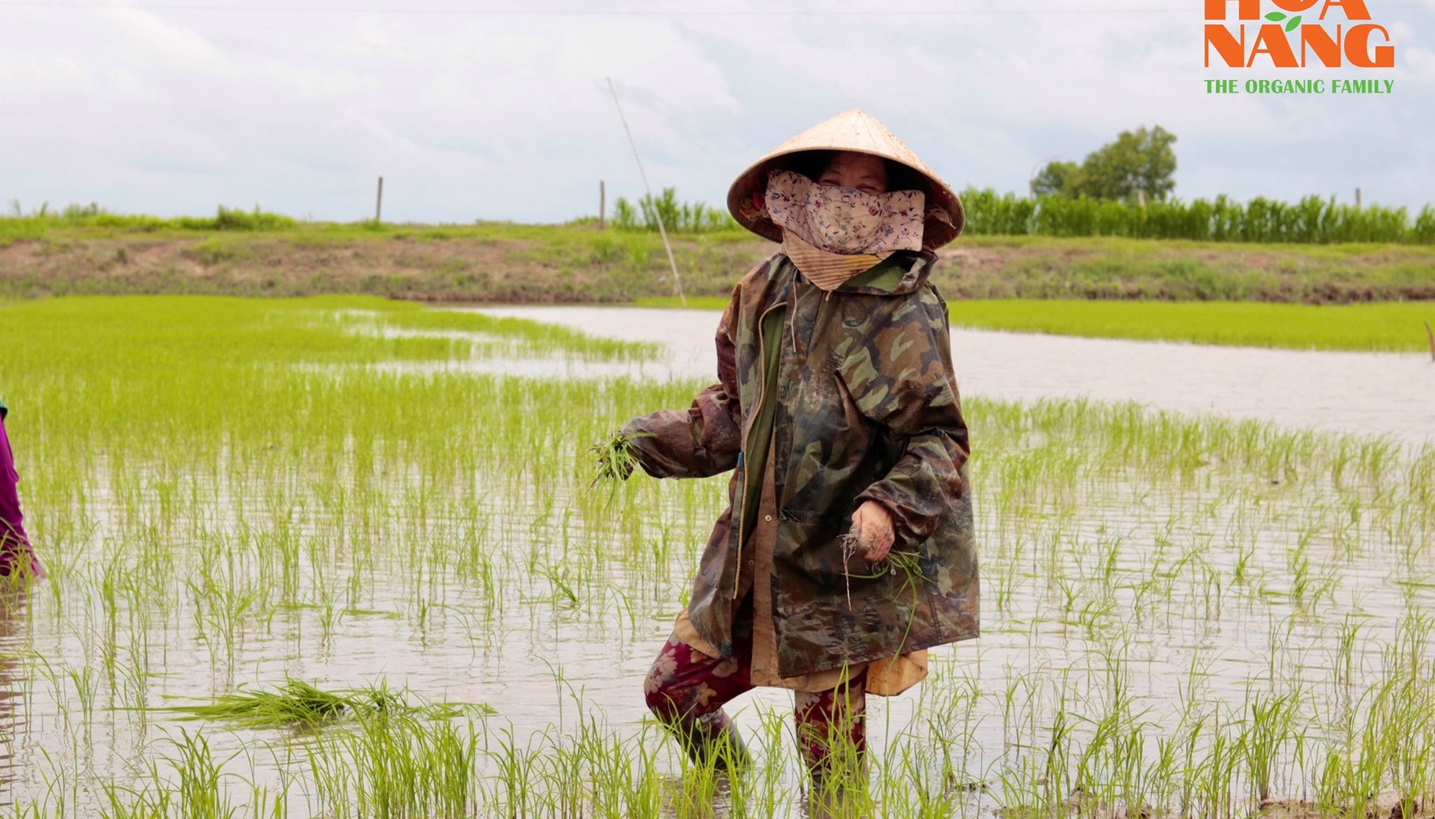 Read VIETNAM: MAKING THE FINANCIAL SYSTEM WORK BETTER FOR WOMEN ENTREPRENEURS by USAID Private Sector Engagement