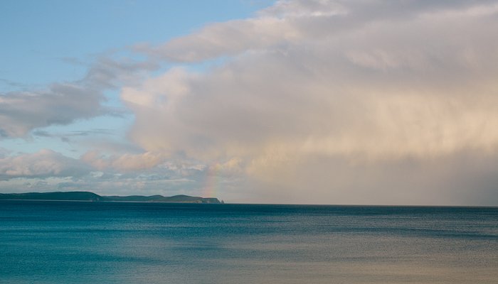 Read Bruny Island, Tasmania by Courtney Tight