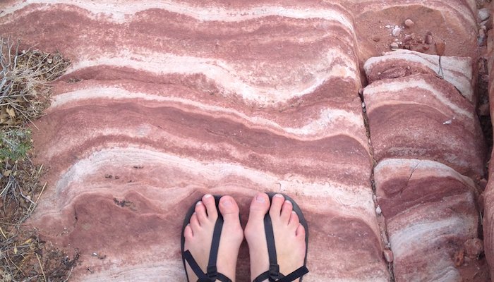 Read RED ROCK CANYON: NATURE’S BACON by Julie Murrell