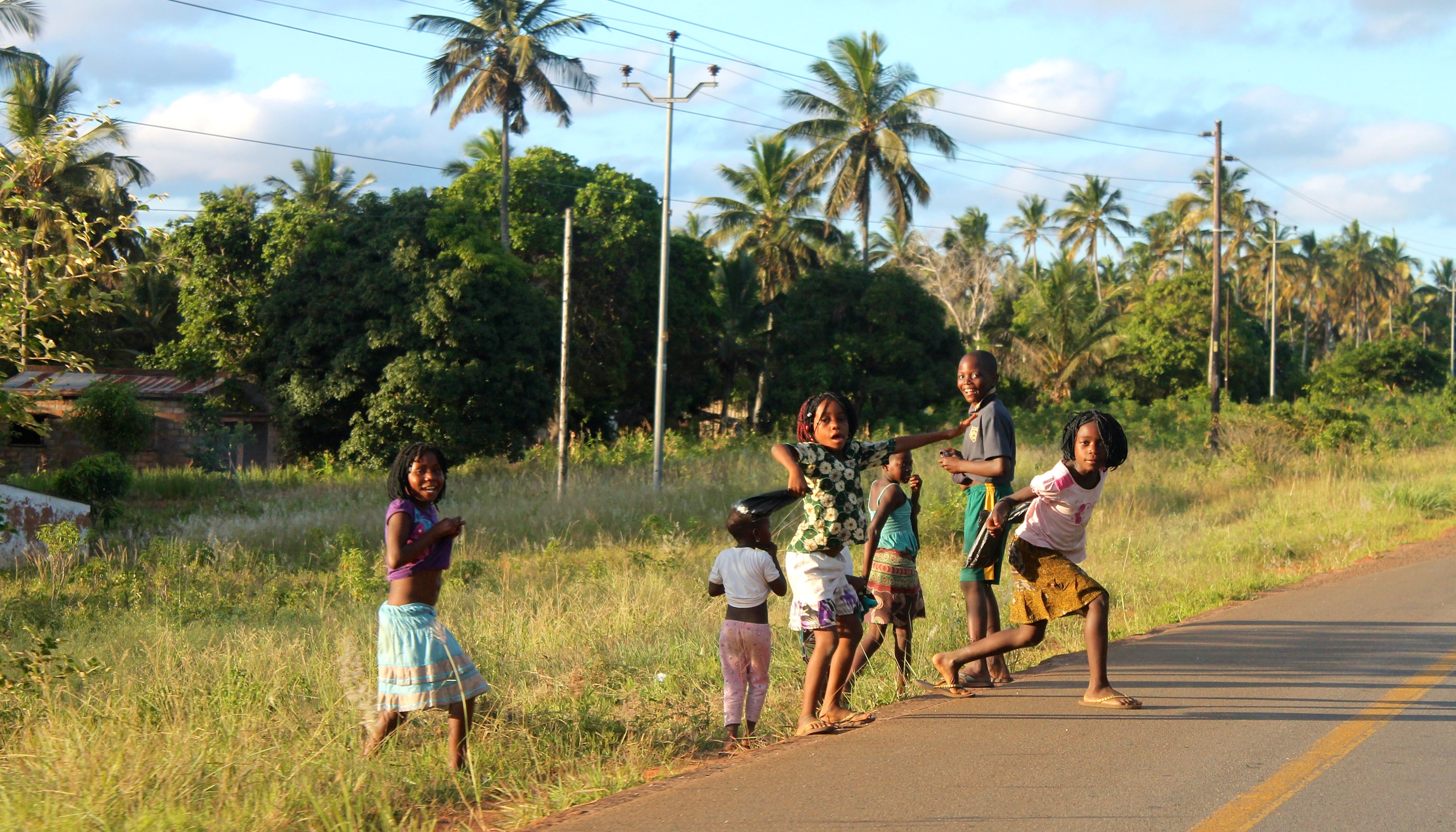 Read The Cassava Question by Namati