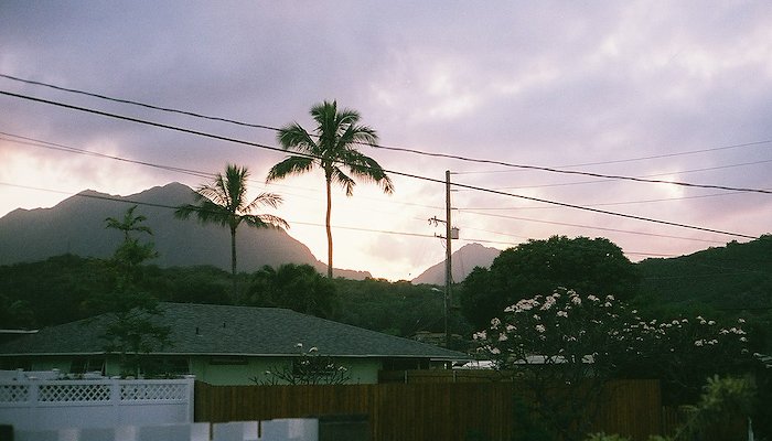 Read Hawai'i on Film by Alexis Fraga