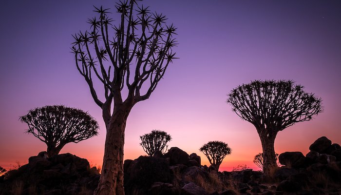 Read Namibia - Dunes, Diamonds and Dik-Diks by Thorsten Mehret