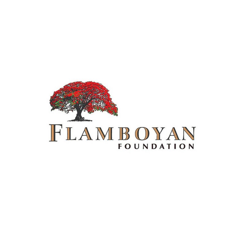 Photo of Flamboyan Foundation