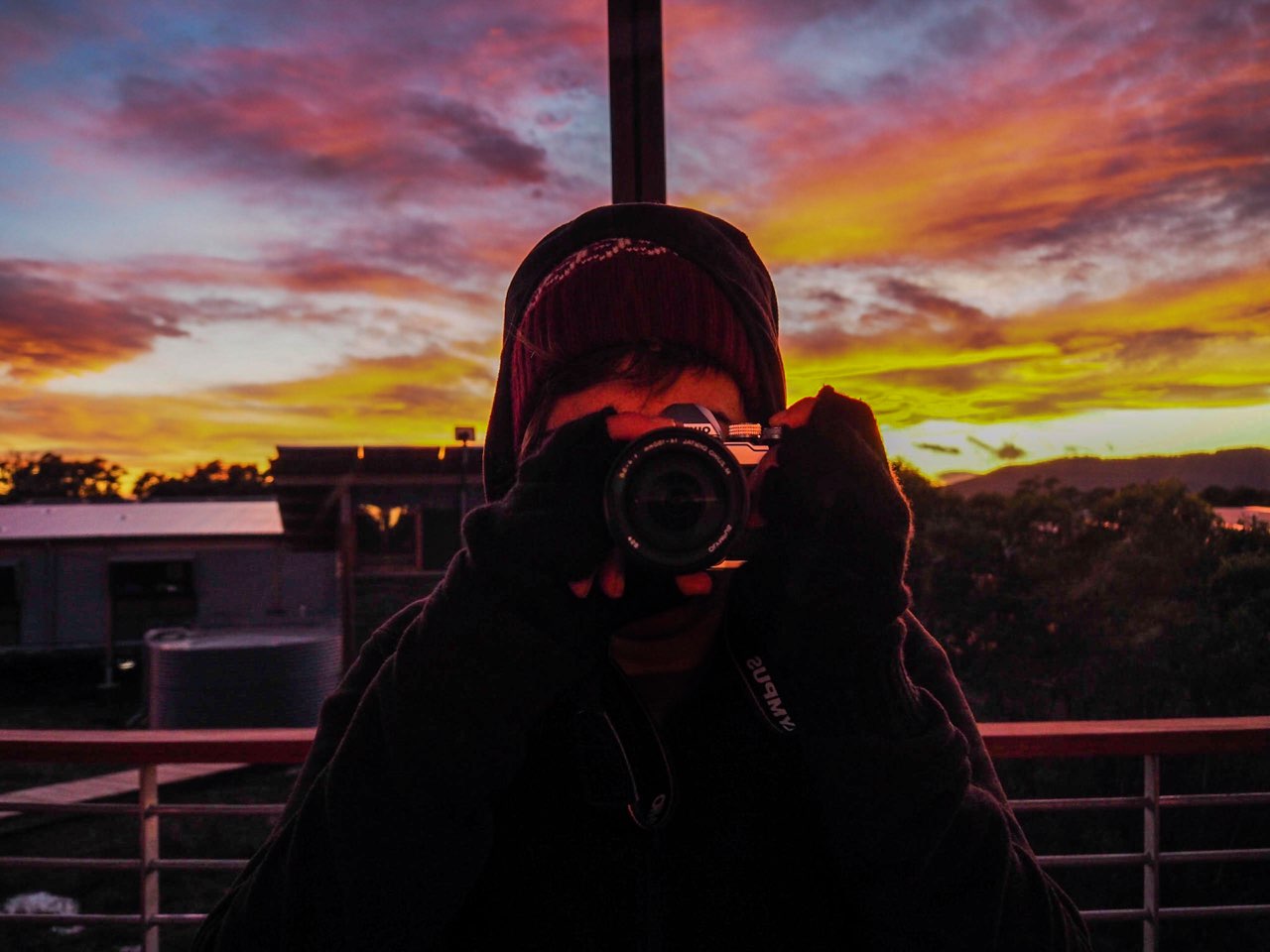 Photo of Stories She Saw