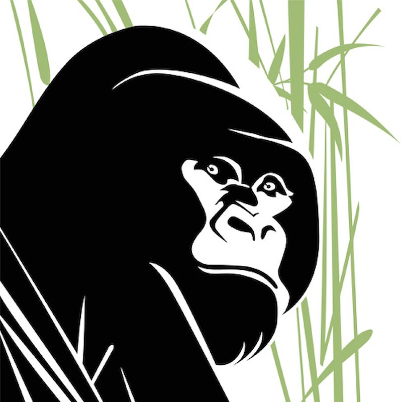 Gorilla Doctors