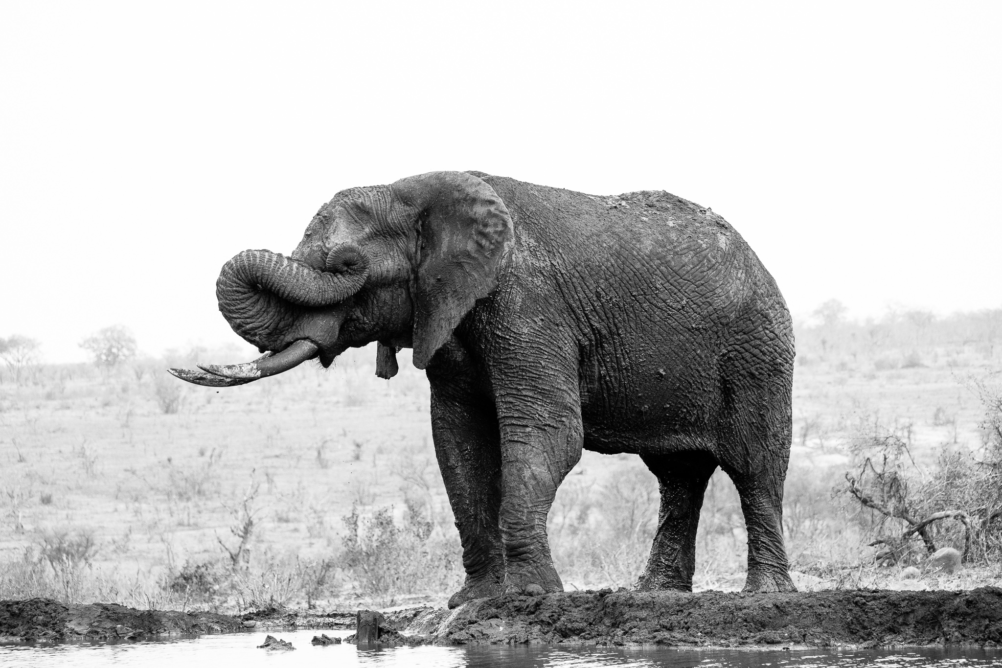 Photo of Matteo Vallone