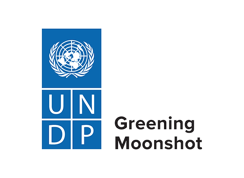 UNDP Greening Moonshot