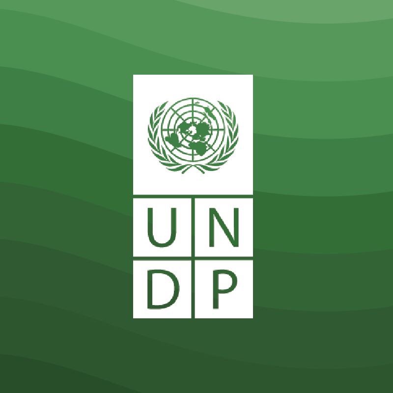 Photo of UNDP in Asia & the Pacific