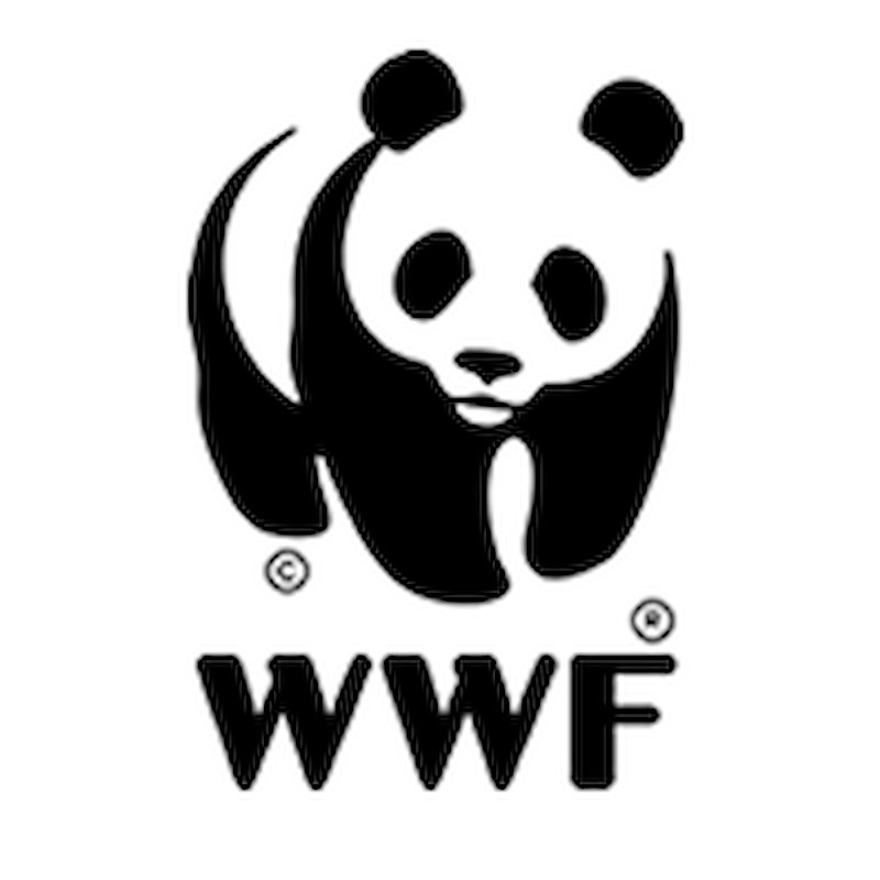Photo of WWF