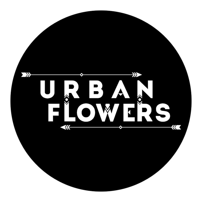 Photo of Urban Flowers