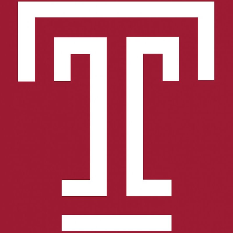 Photo of Temple Owls