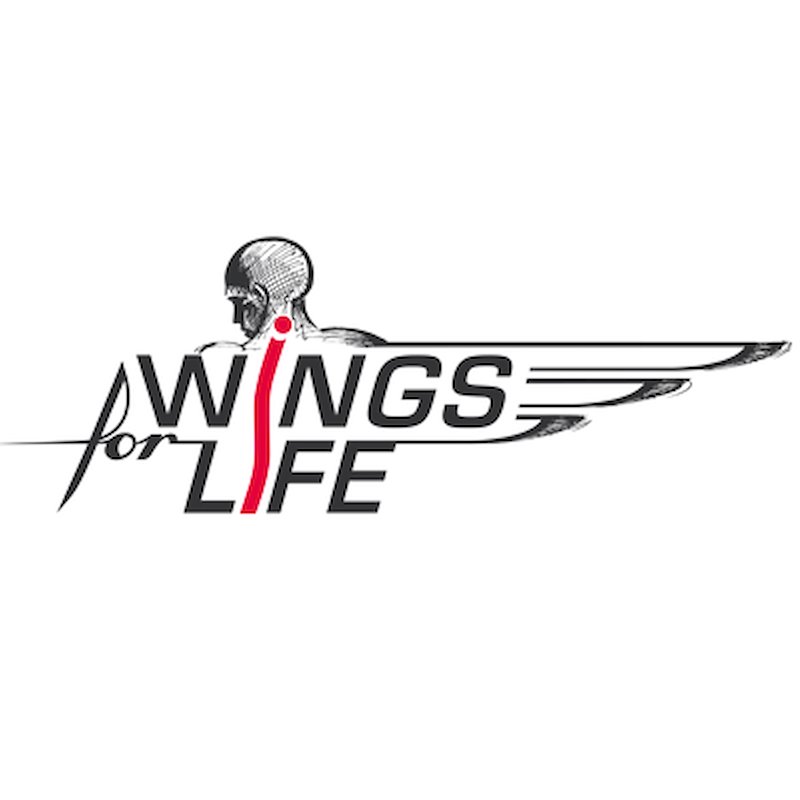 Photo of Wings for Life