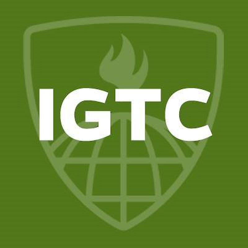 Institute for Global Tobacco Control