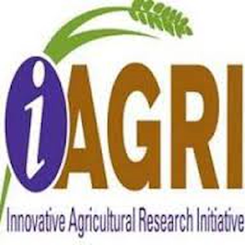 Photo of Innovative Agricultural Research Initiative