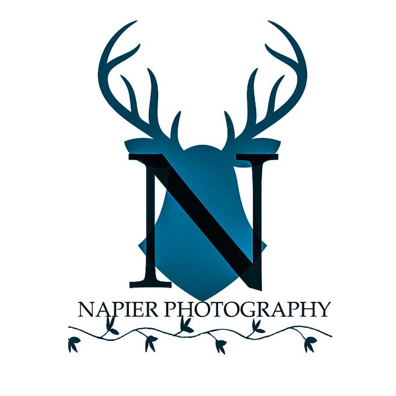 Photo of Napier Photography