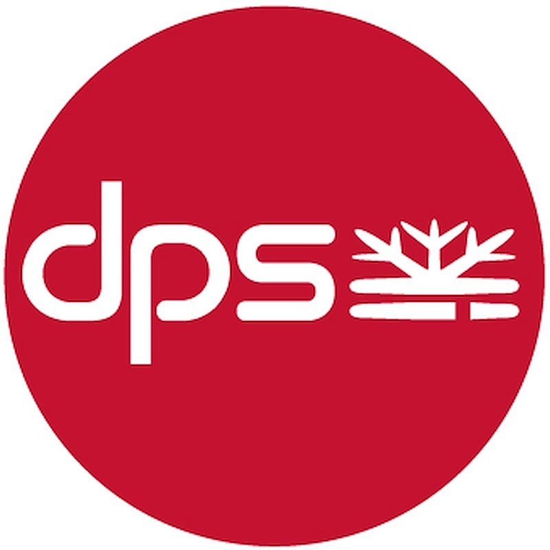 Photo of DPS Skis