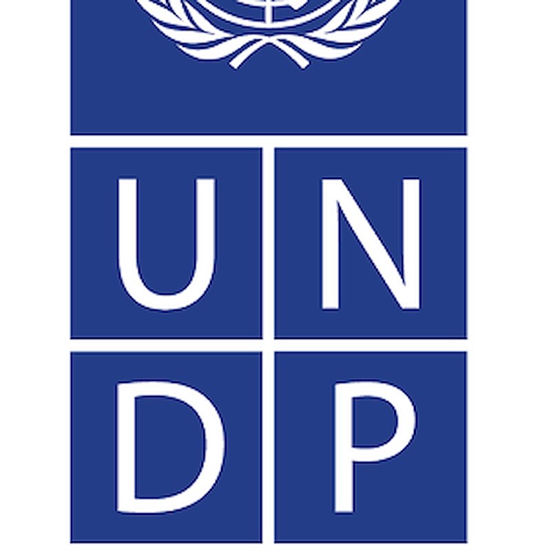 Photo of UNDP in China